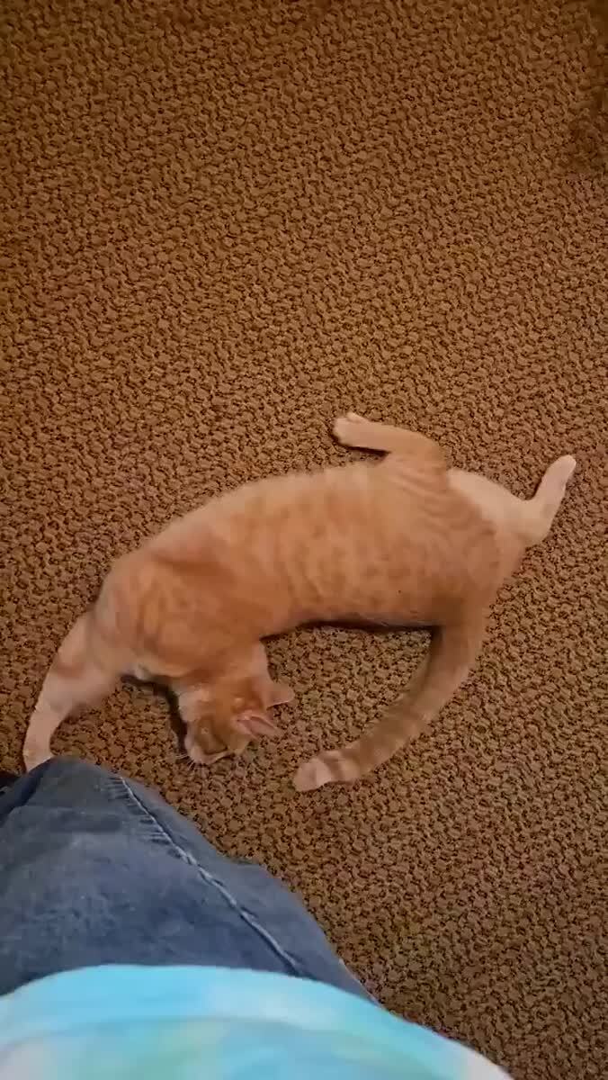 С ним все ок