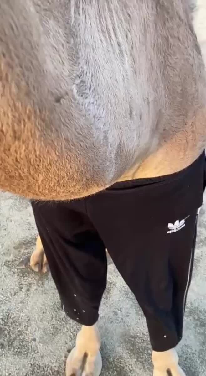 Самый модный