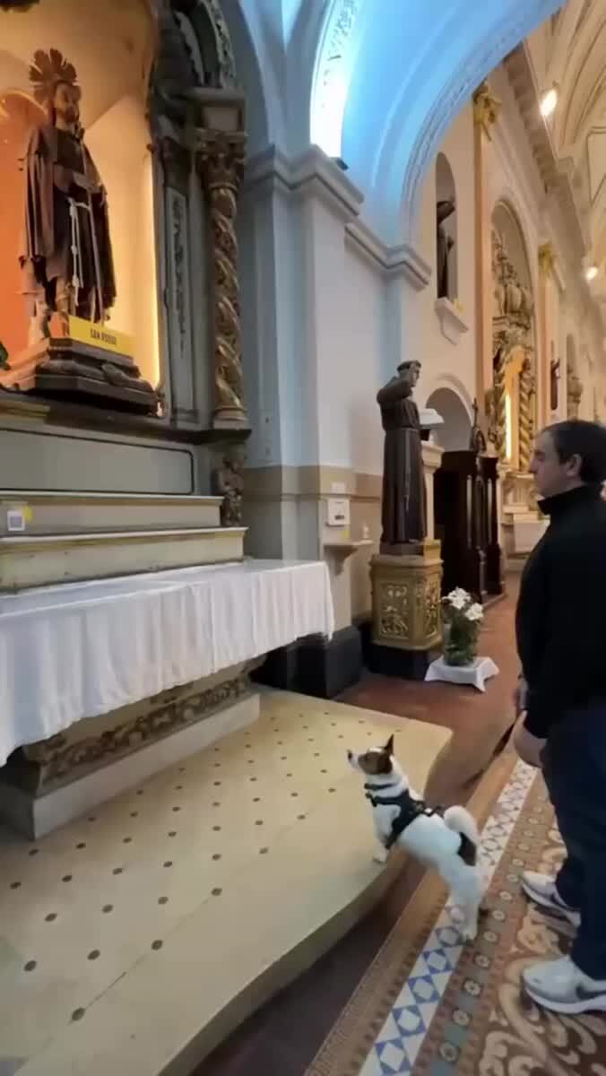 Свой святой