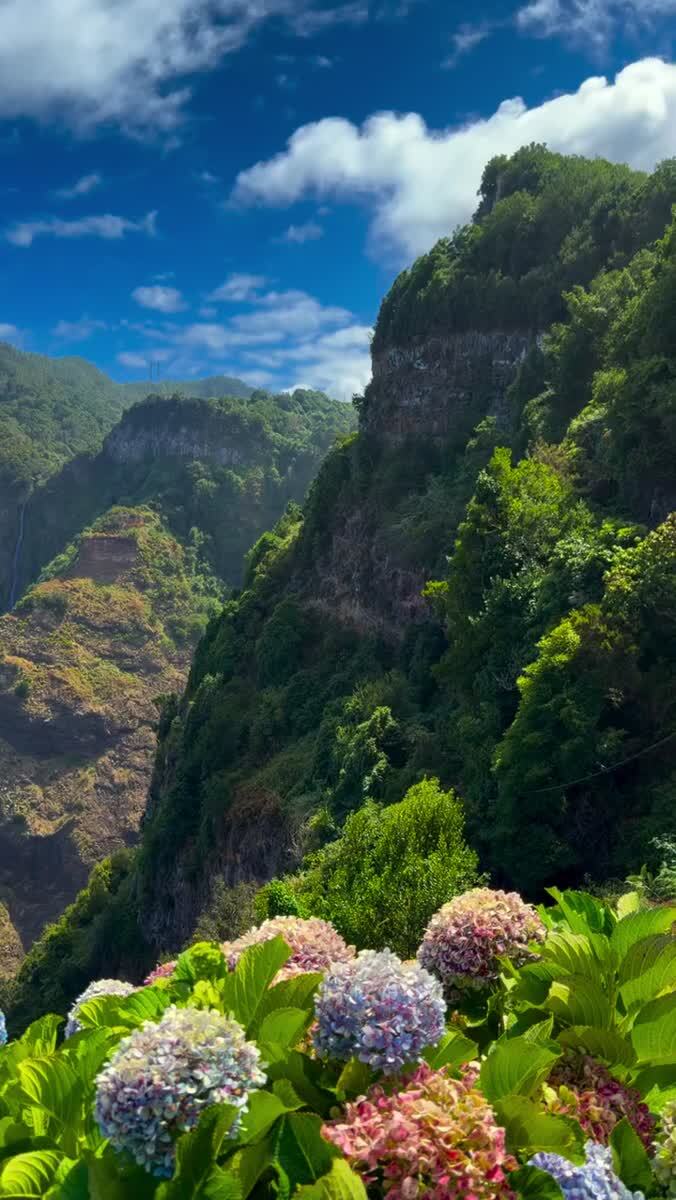 Мадейра ⛰️🌊
