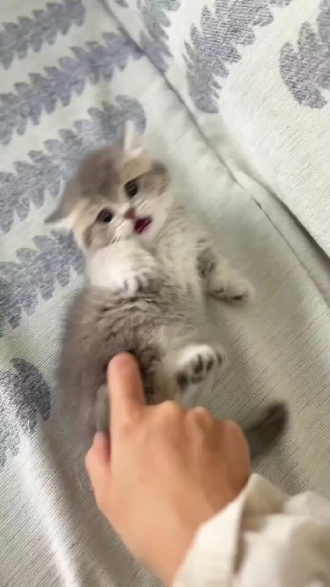 Мем #36596