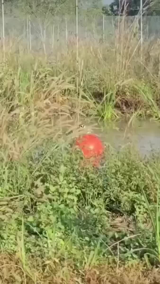 Уровень дзена, к которому я стремлюсь