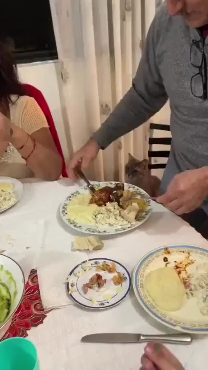 - тебе не кажется, что ты немножко разбаловал кота?-«Нет»