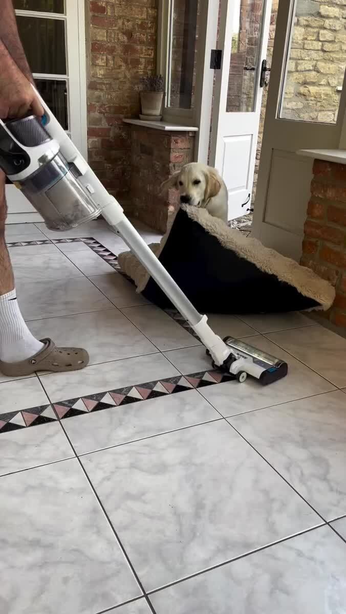 Помощник по дому