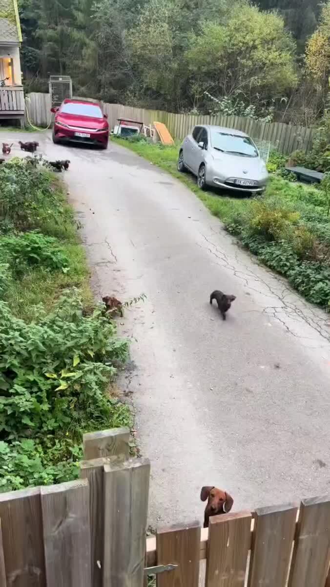 Таксопарк 😂️️️️