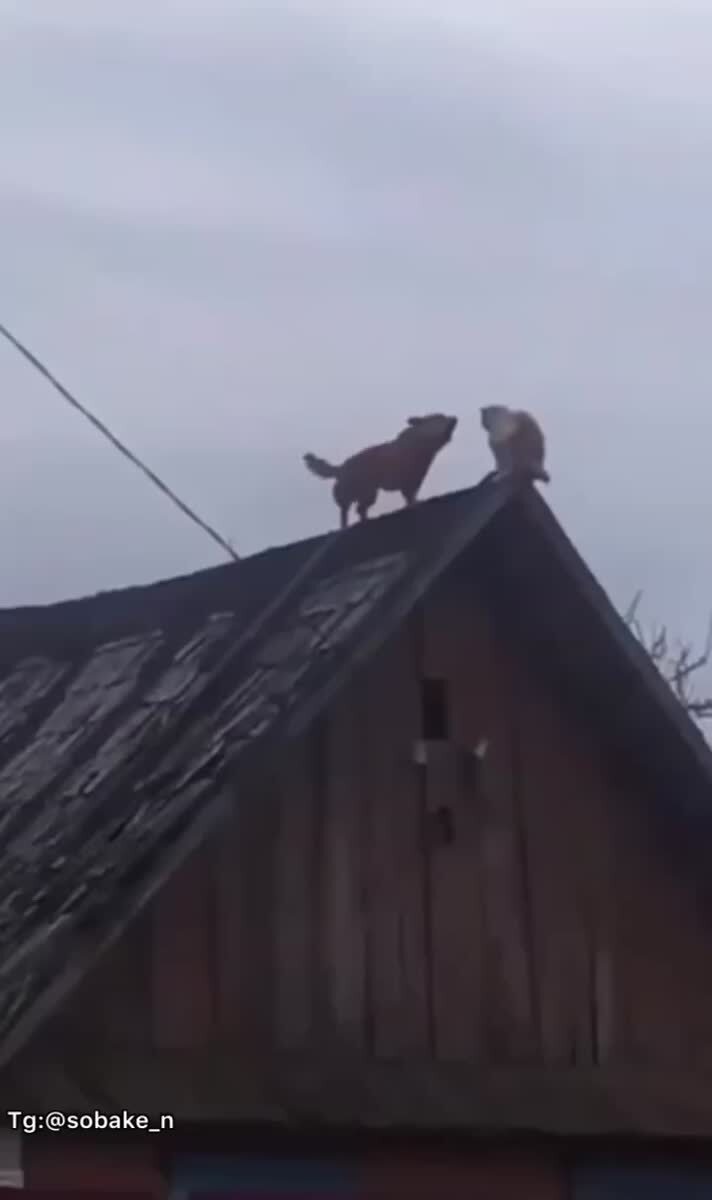 Ты куда ушел, я еще не договорила