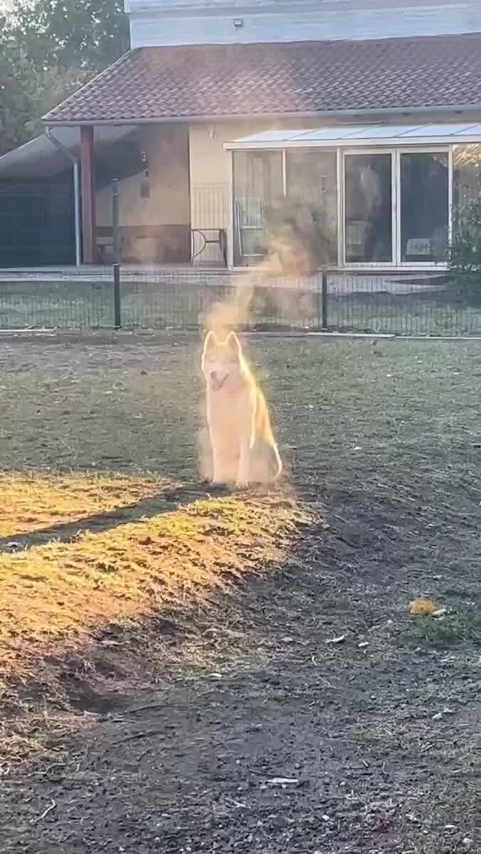 Свежая выпечка прибыла, забирайте, пока горячая! 🥐💨