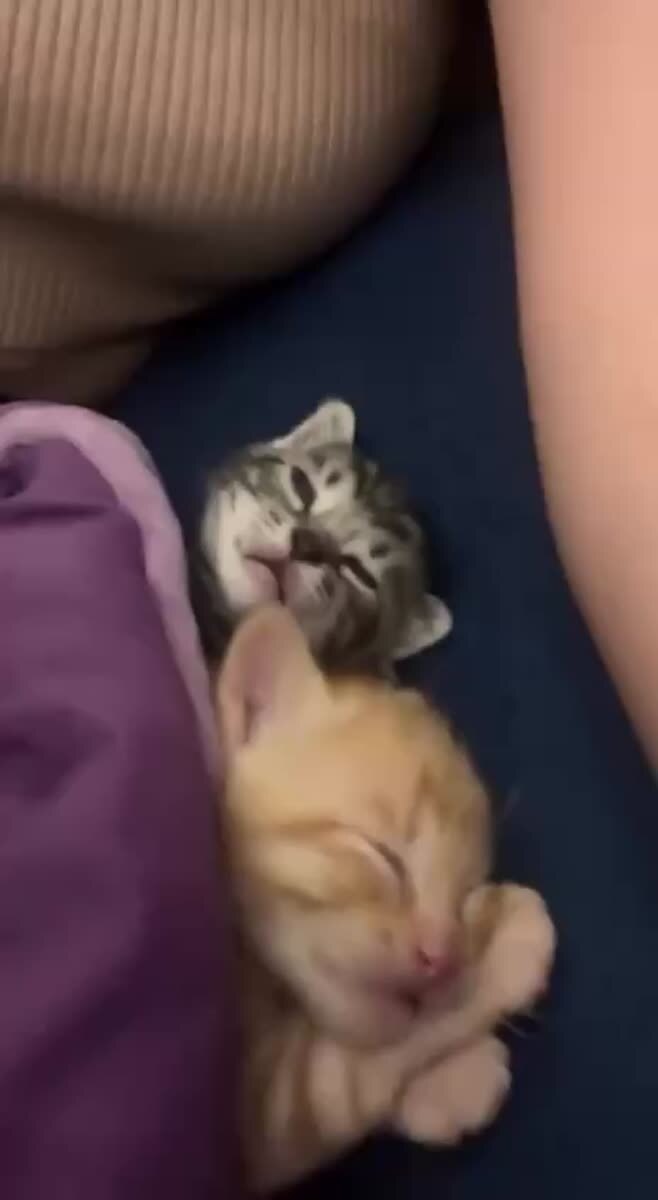 Всем доброй ночи 🧡