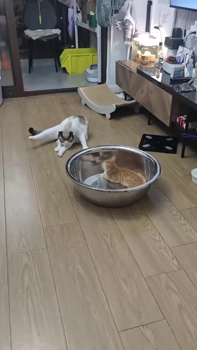 Это еще кто!?