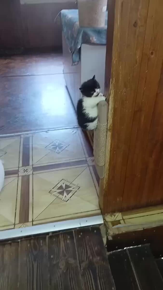 😍😍😍