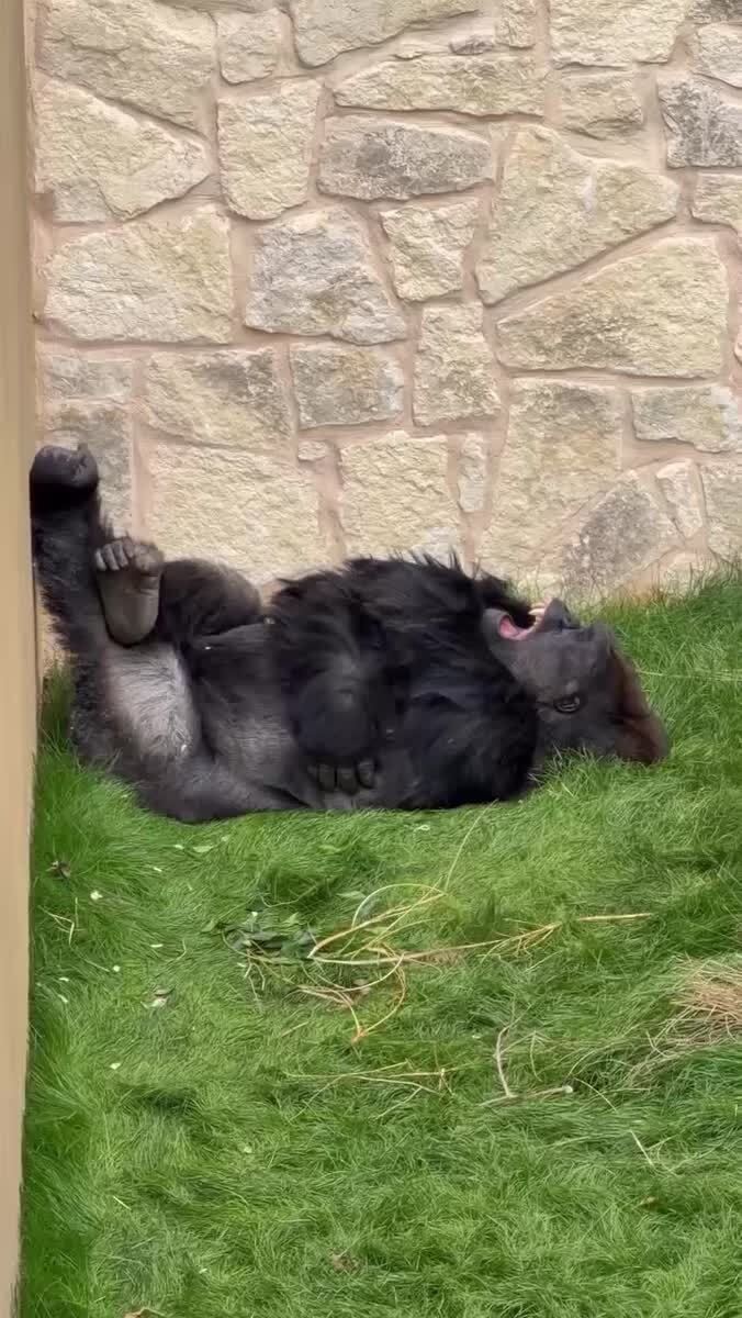 Спокойной ночи😴