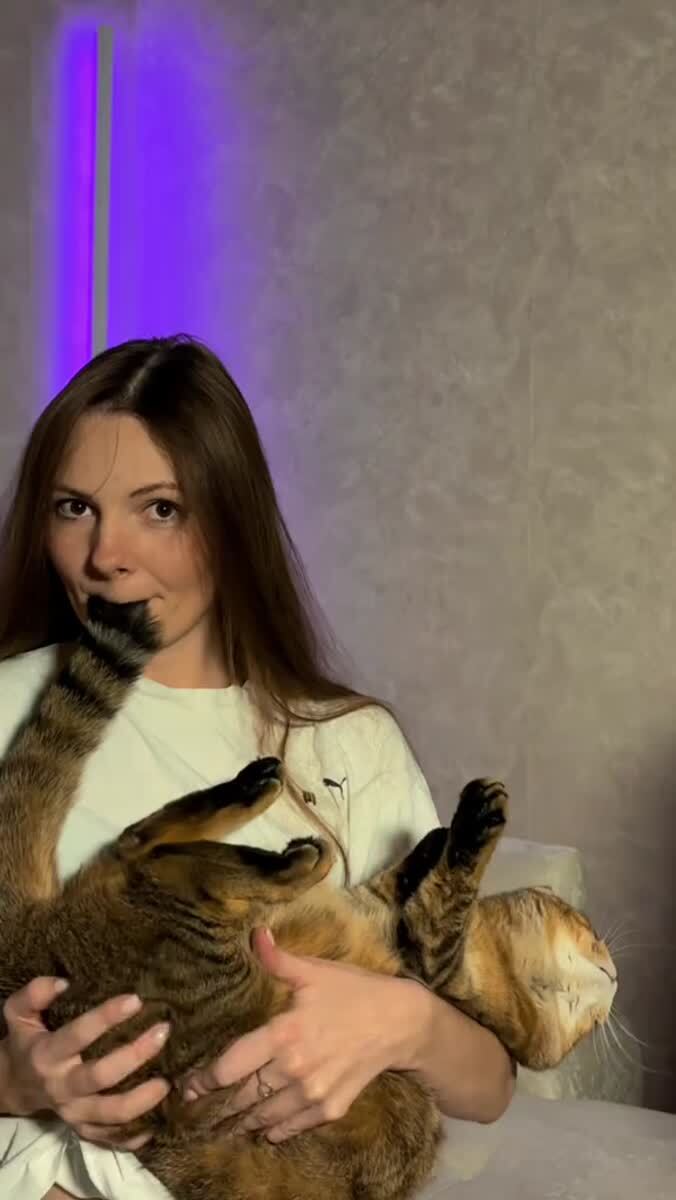 Простой способ проверить, настоящий ли ваш кот шотландец или нет😅♥️ шерстяные проказники