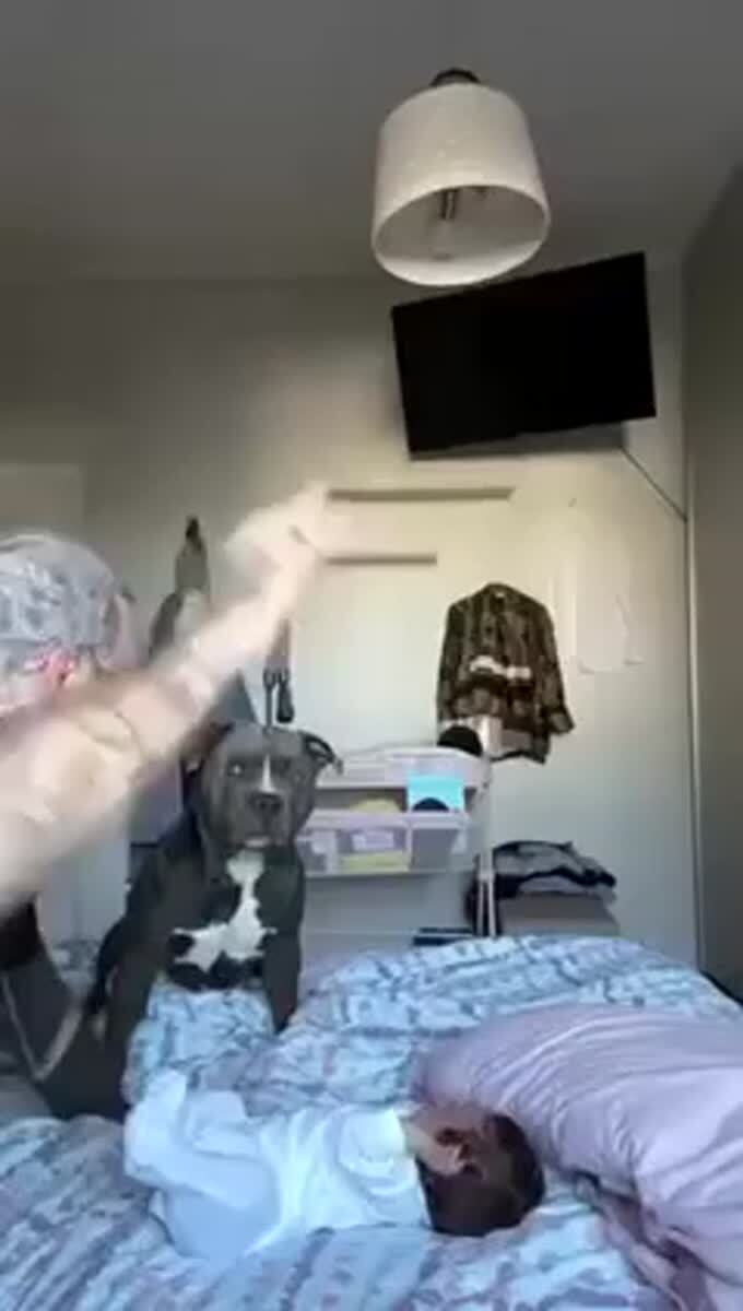 Защитники
